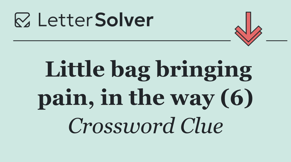 Little bag bringing pain, in the way (6)