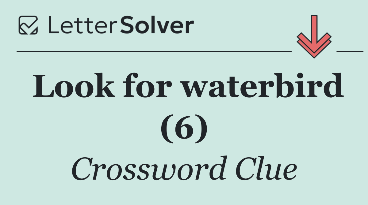 Look for waterbird (6)