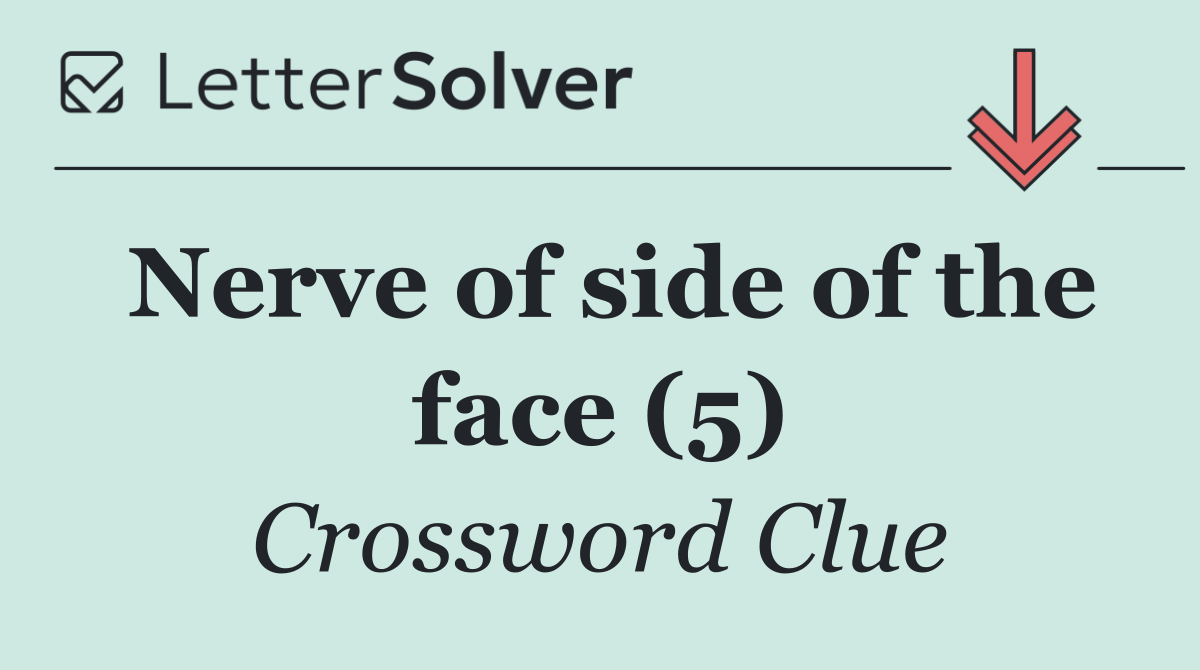 Nerve of side of the face (5)