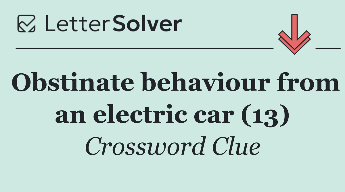 Obstinate behaviour from an electric car (13)