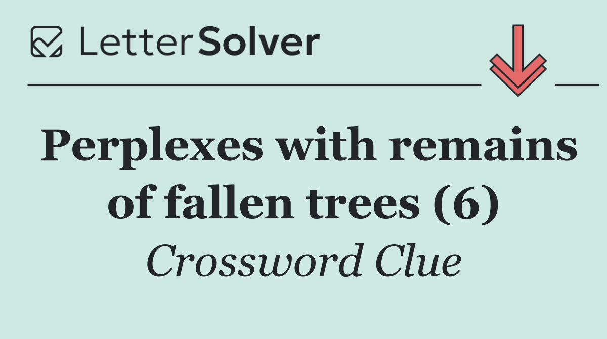 Perplexes with remains of fallen trees (6)