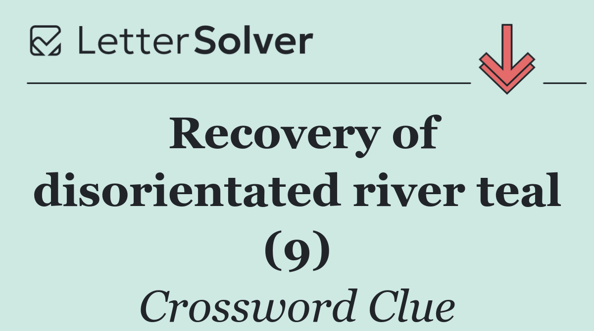 Recovery of disorientated river teal (9)
