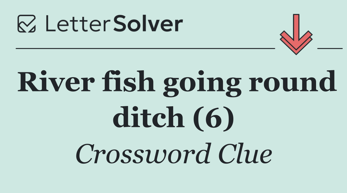 River fish going round ditch (6)