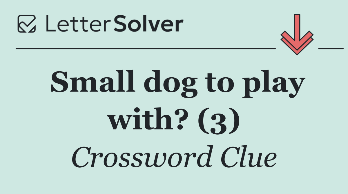Small dog to play with? (3)