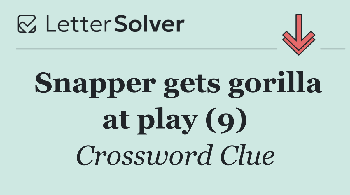 Snapper gets gorilla at play (9)