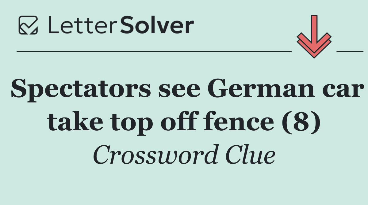 Spectators see German car take top off fence (8)