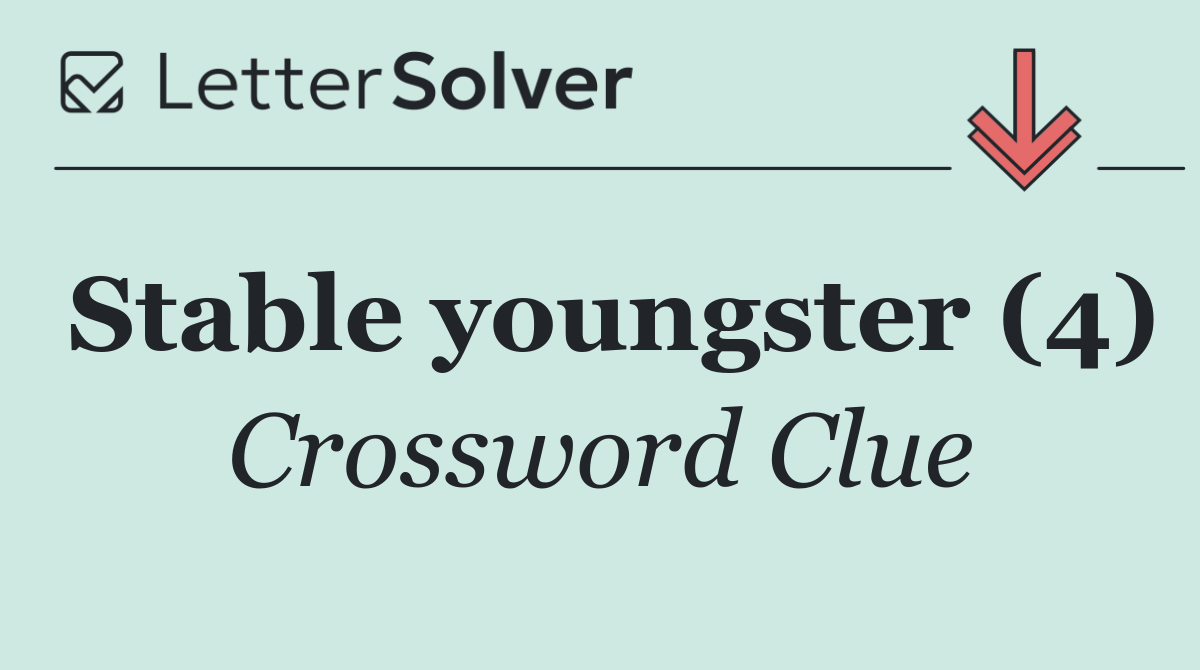 Stable youngster (4)