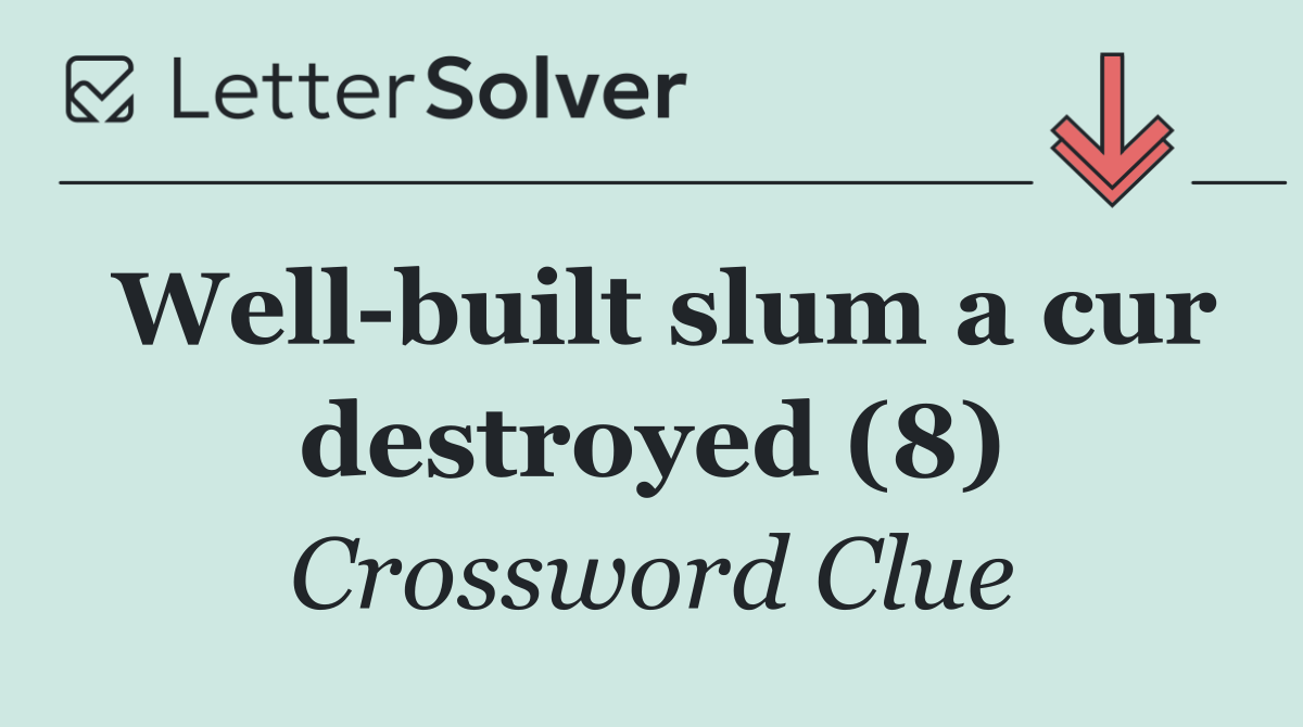 Well built slum a cur destroyed (8)