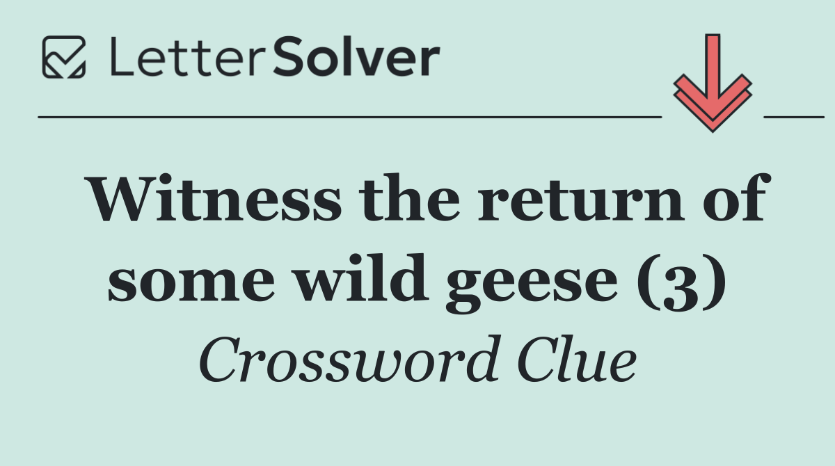 Witness the return of some wild geese (3)