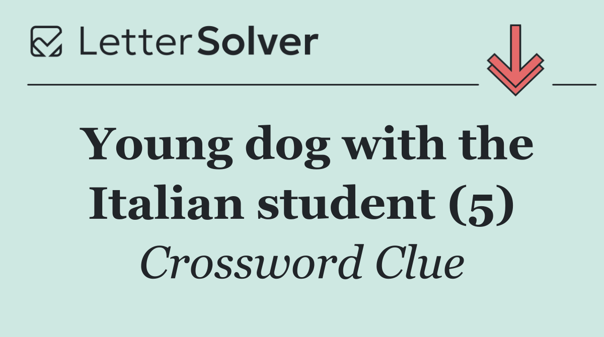 Young dog with the Italian student (5)
