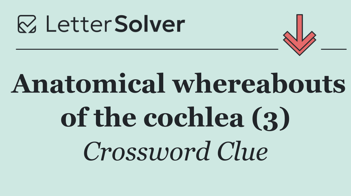 Anatomical whereabouts of the cochlea (3)