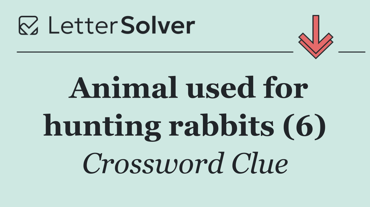 Animal used for hunting rabbits (6)