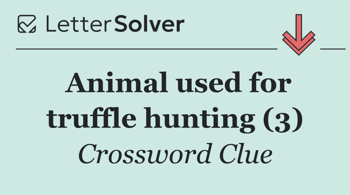 Animal used for truffle hunting (3)