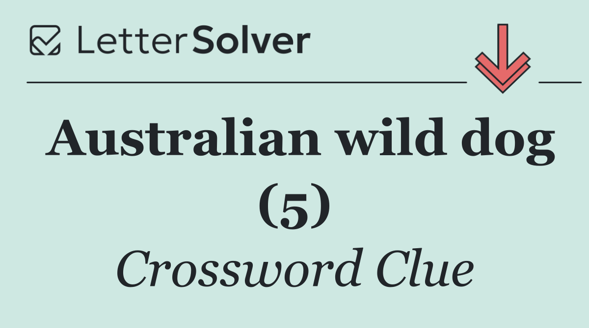 Australian wild dog (5)