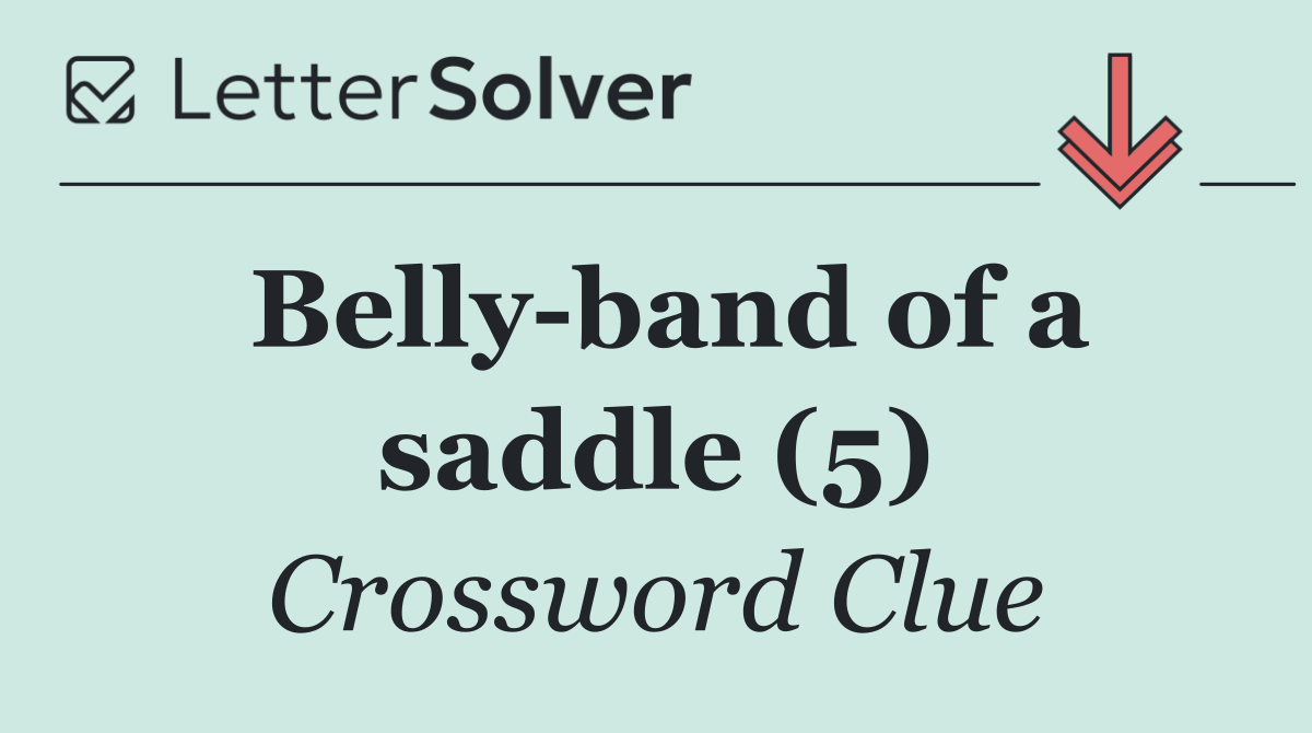 Belly band of a saddle (5)