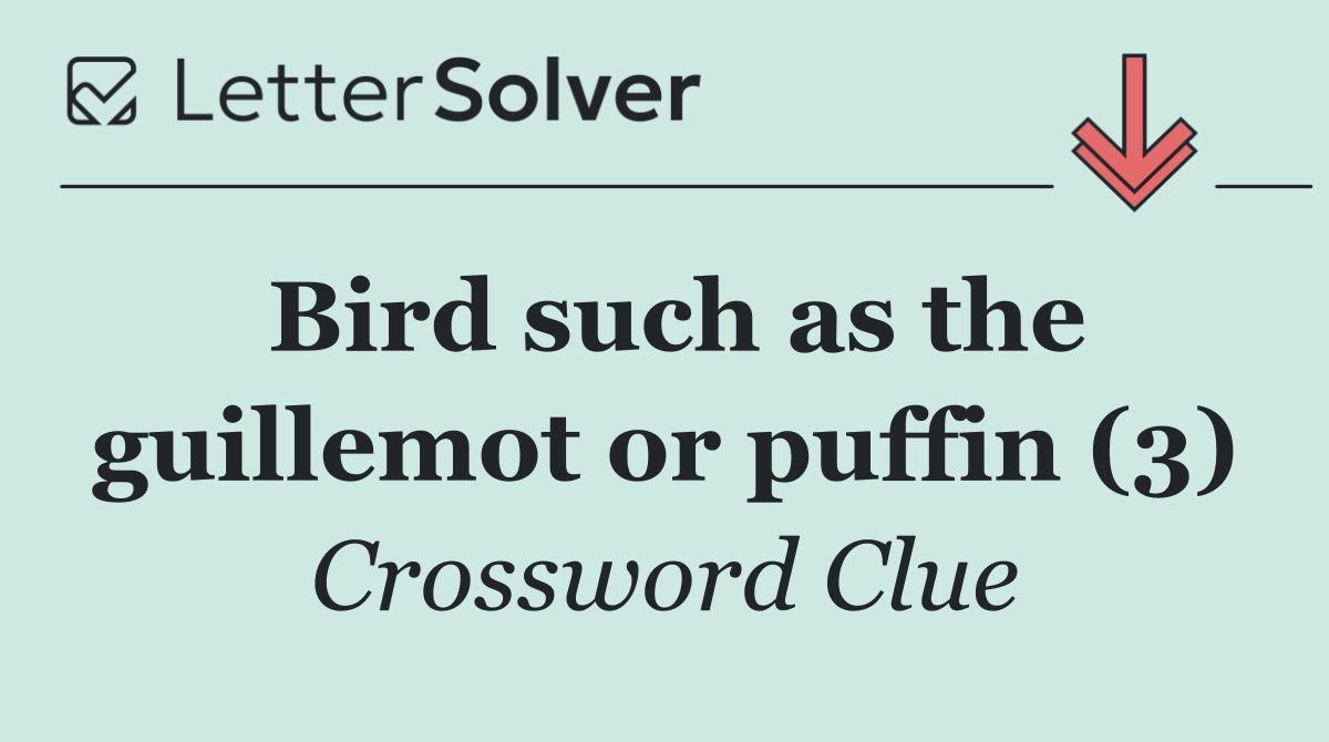 Bird such as the guillemot or puffin (3)