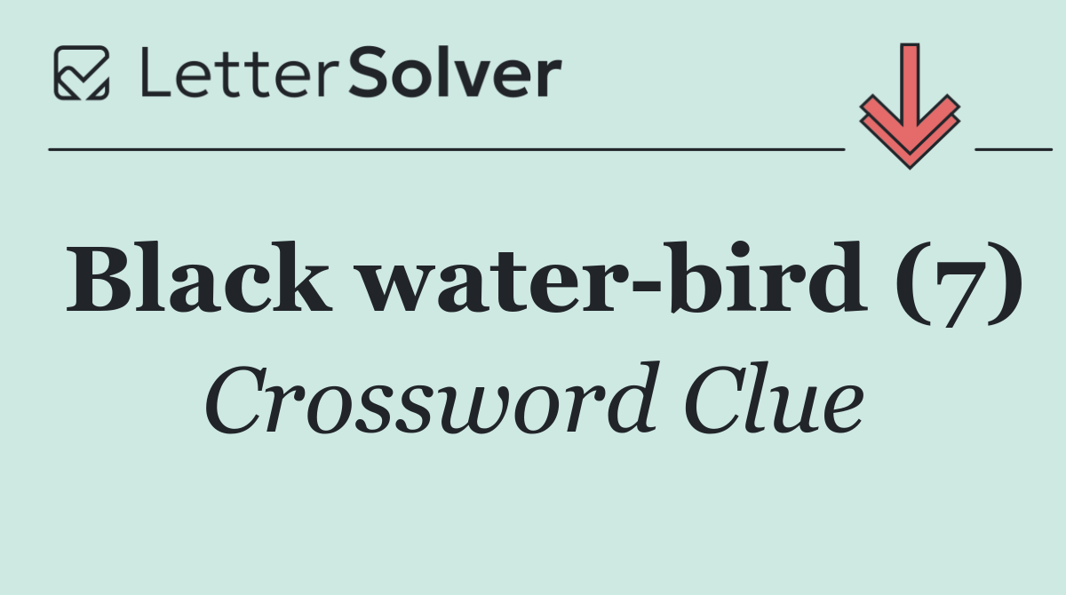 Black water bird (7)