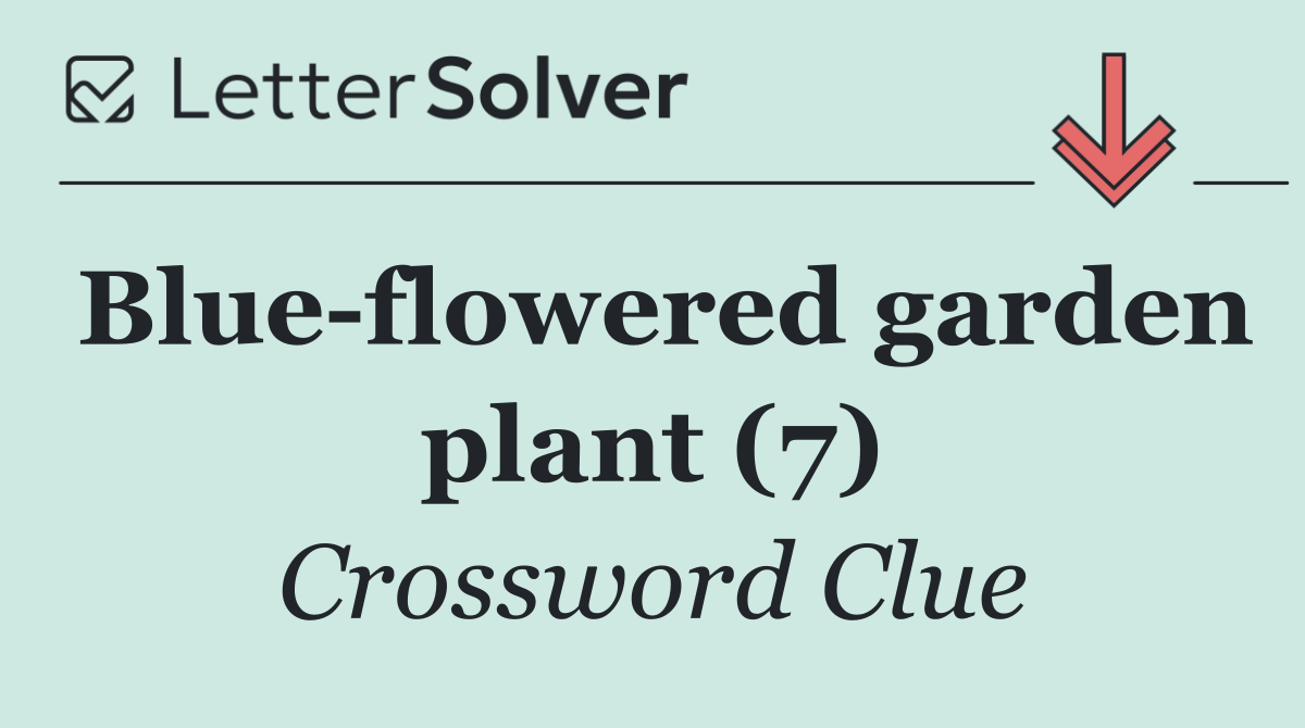 Blue flowered garden plant (7)