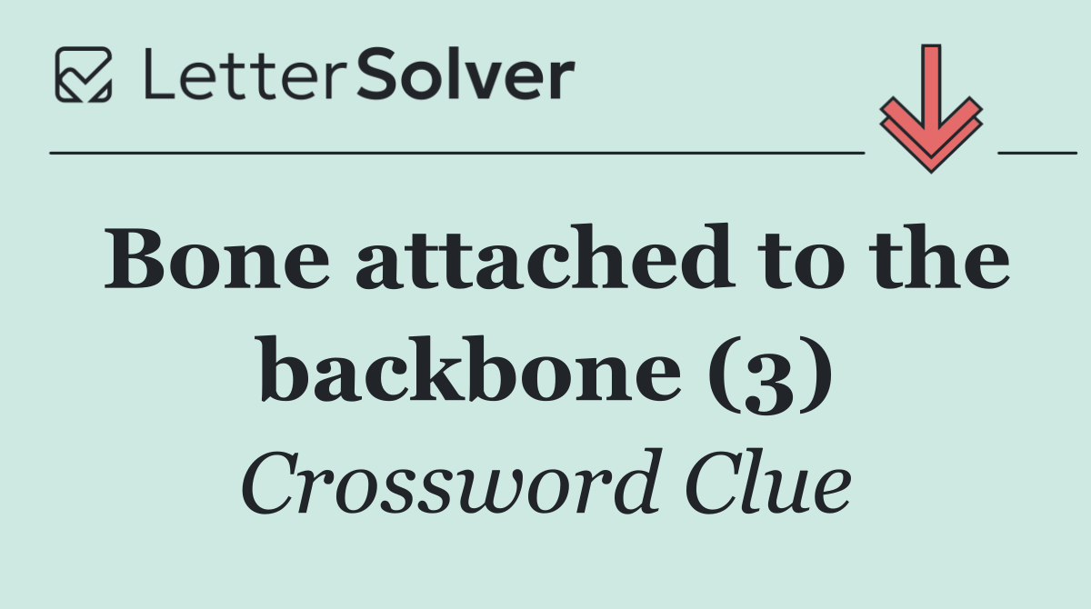 Bone attached to the backbone (3)