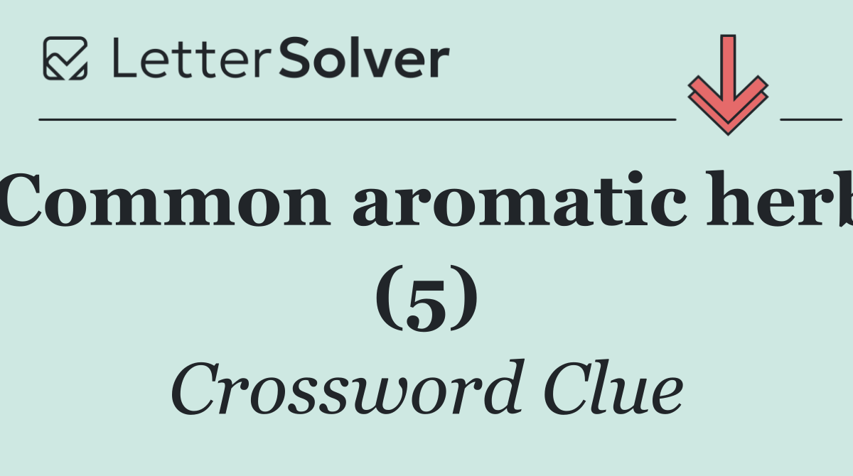 Common aromatic herb (5)
