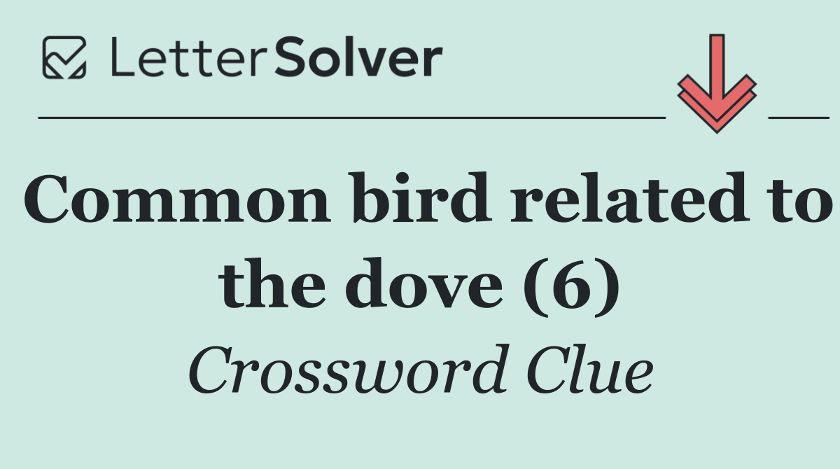 Common bird related to the dove (6)