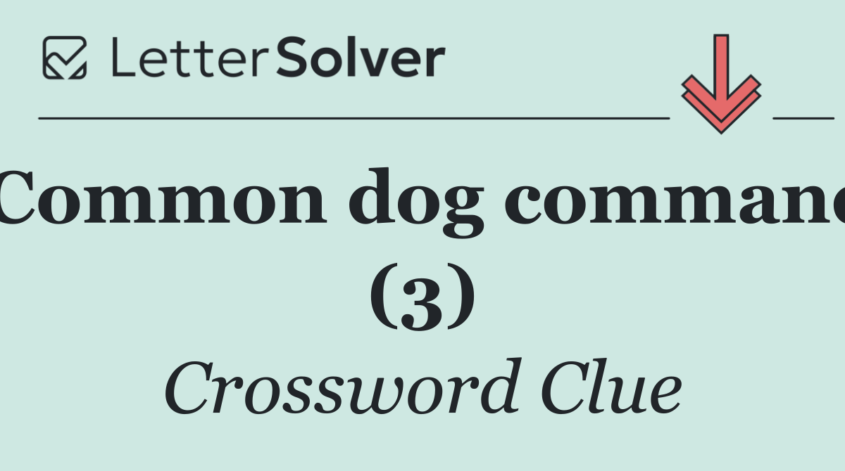 Common dog command (3)