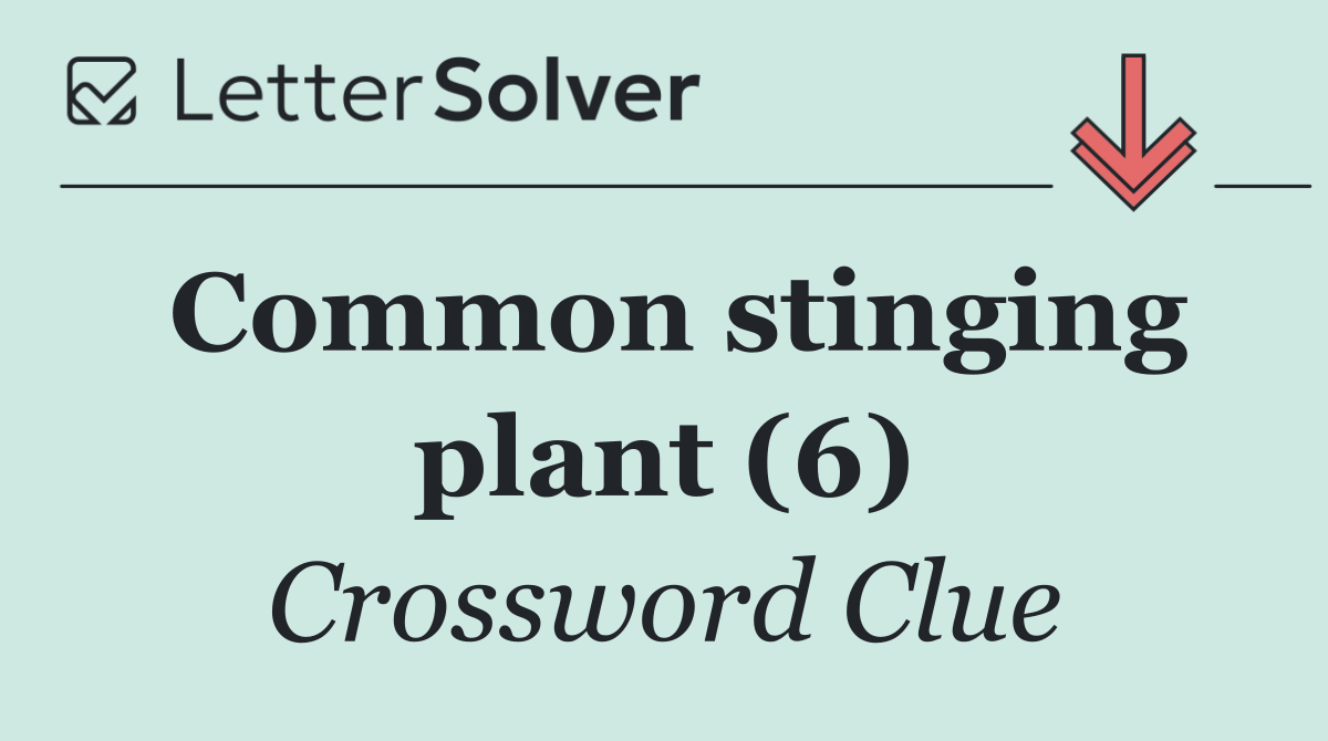 Common stinging plant (6)
