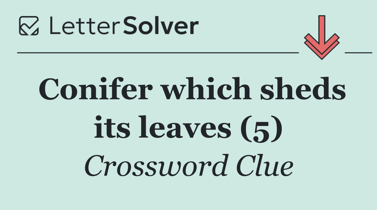 Conifer which sheds its leaves (5)