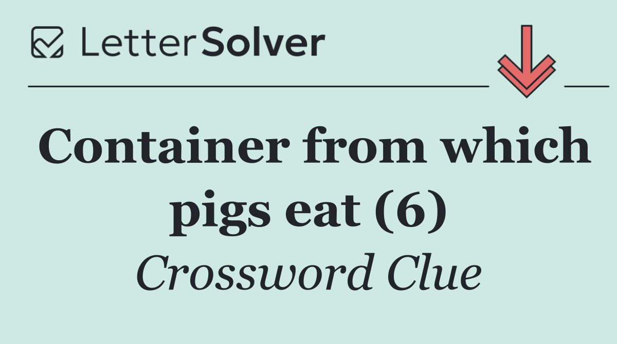Container from which pigs eat (6)