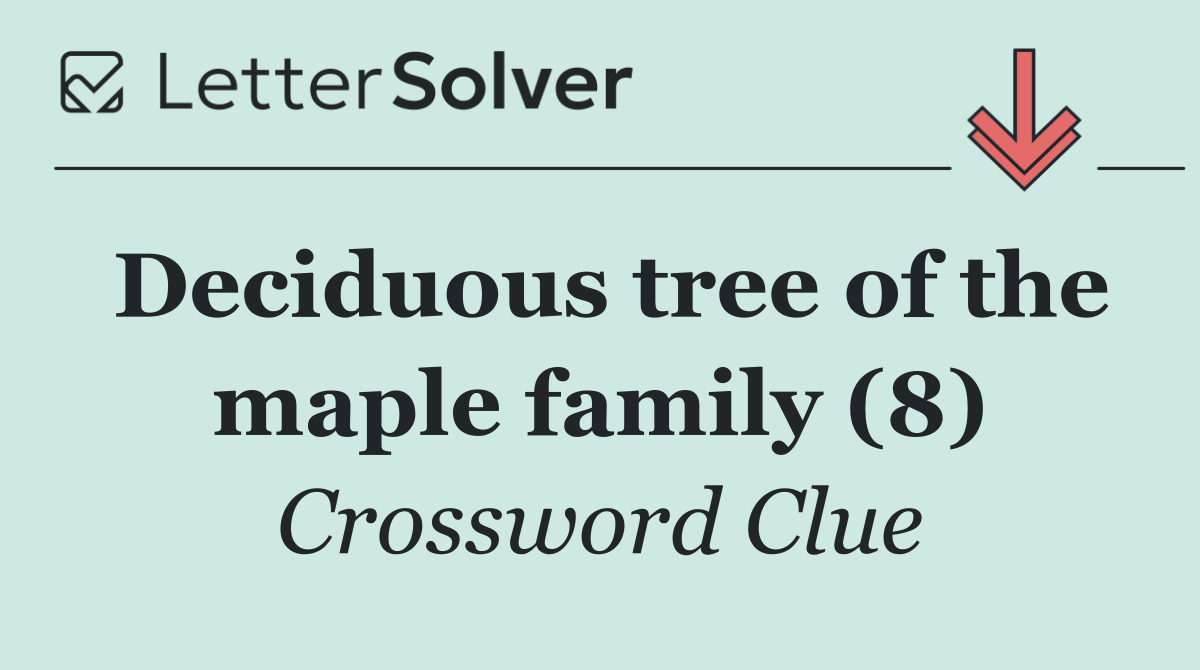Deciduous tree of the maple family (8)