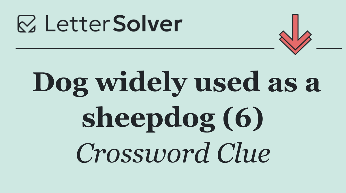 Dog widely used as a sheepdog (6)