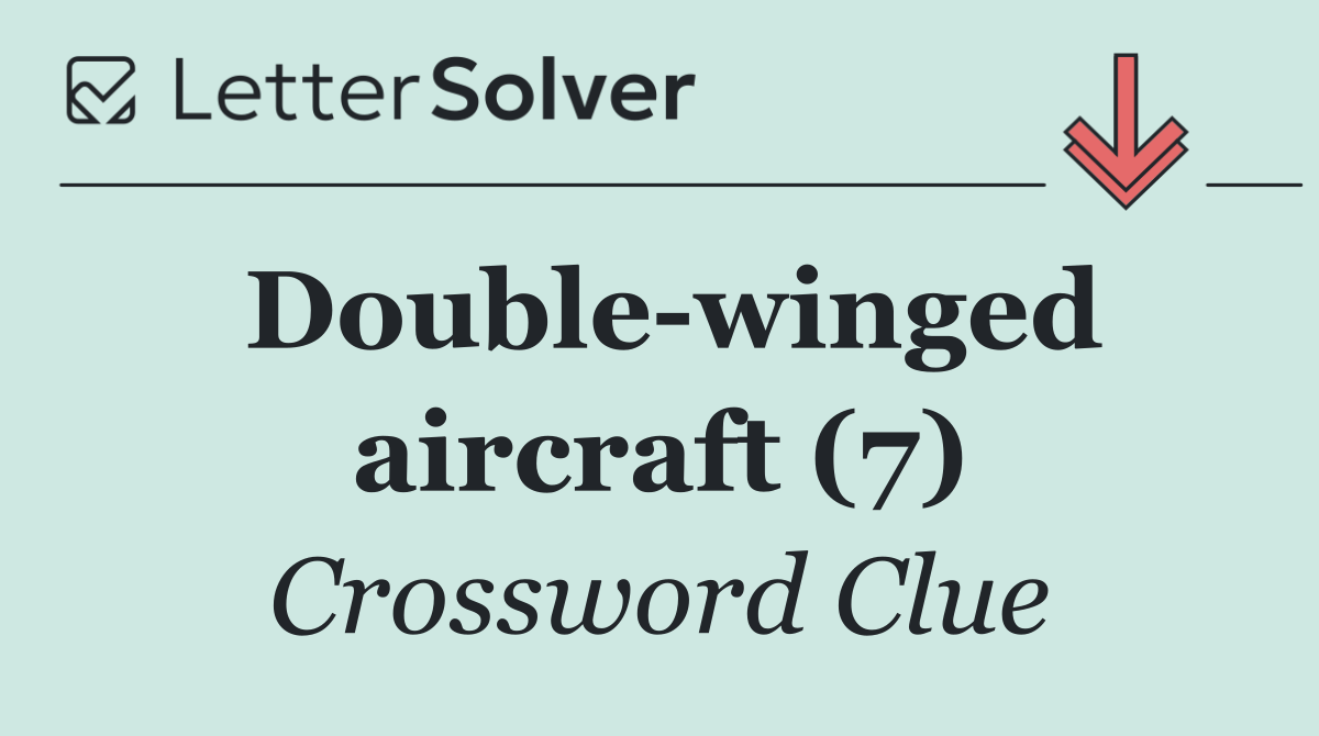 Double winged aircraft (7)