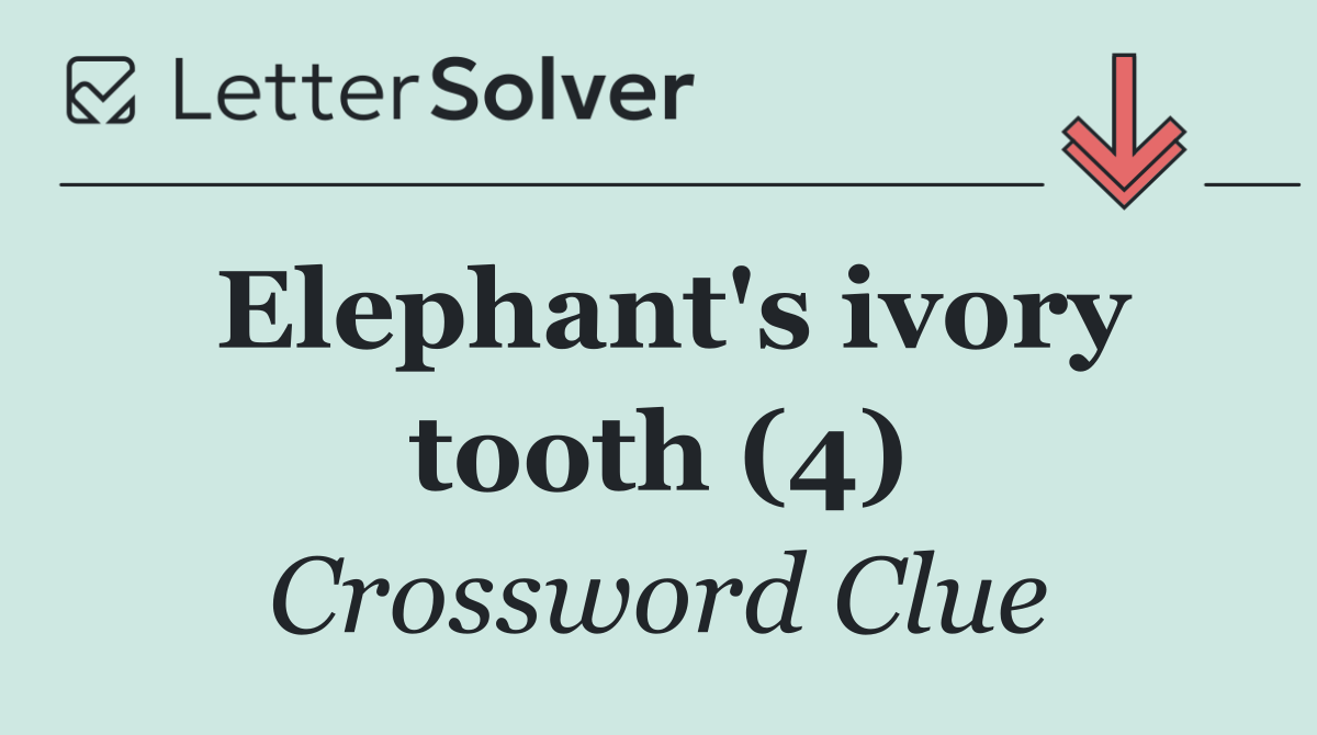 Elephant's ivory tooth (4)