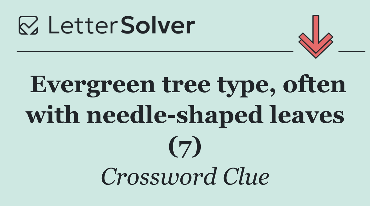 Evergreen tree type, often with needle shaped leaves (7)