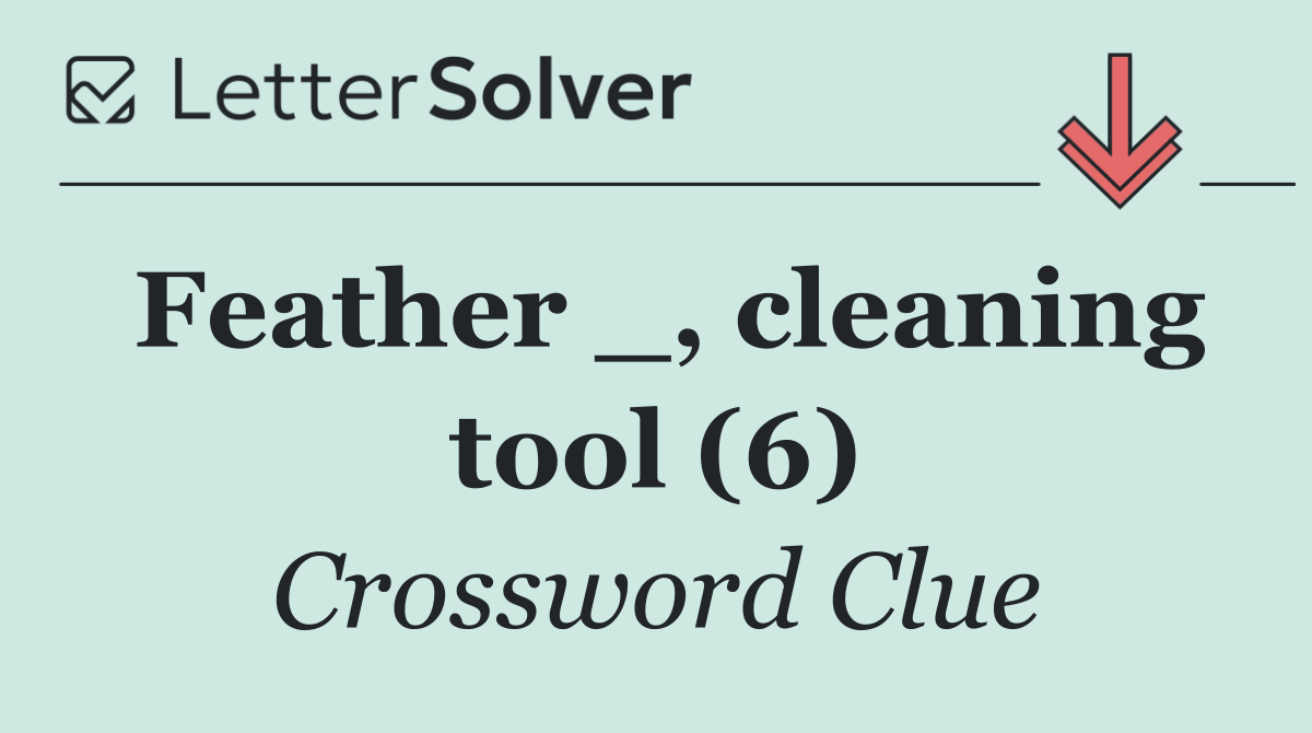 Feather _, cleaning tool (6)