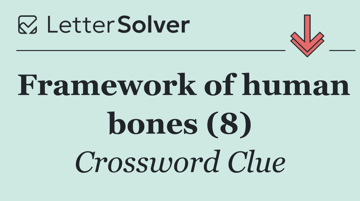Framework of human bones (8)