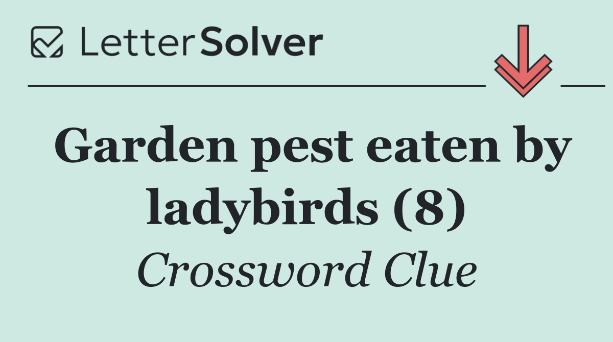 Garden pest eaten by ladybirds (8)