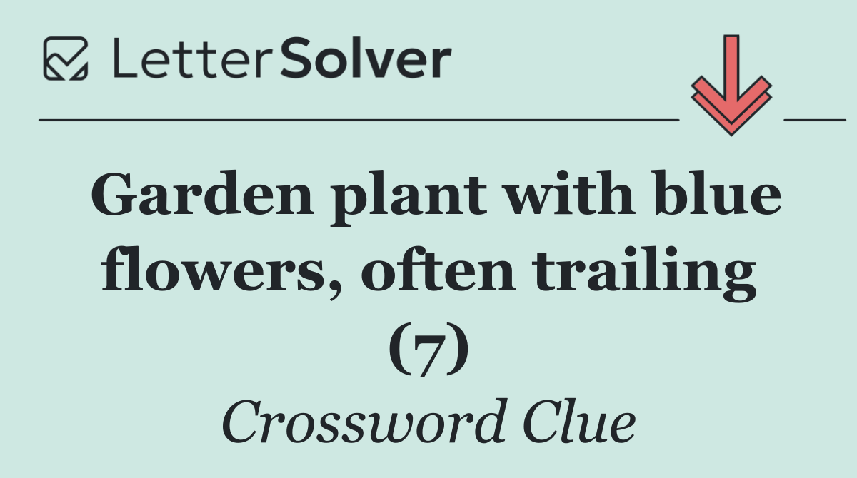 Garden plant with blue flowers, often trailing (7)