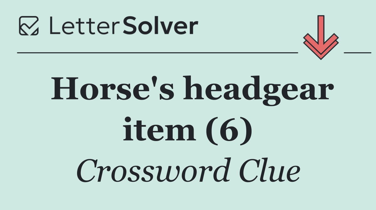 Horse's headgear item (6)