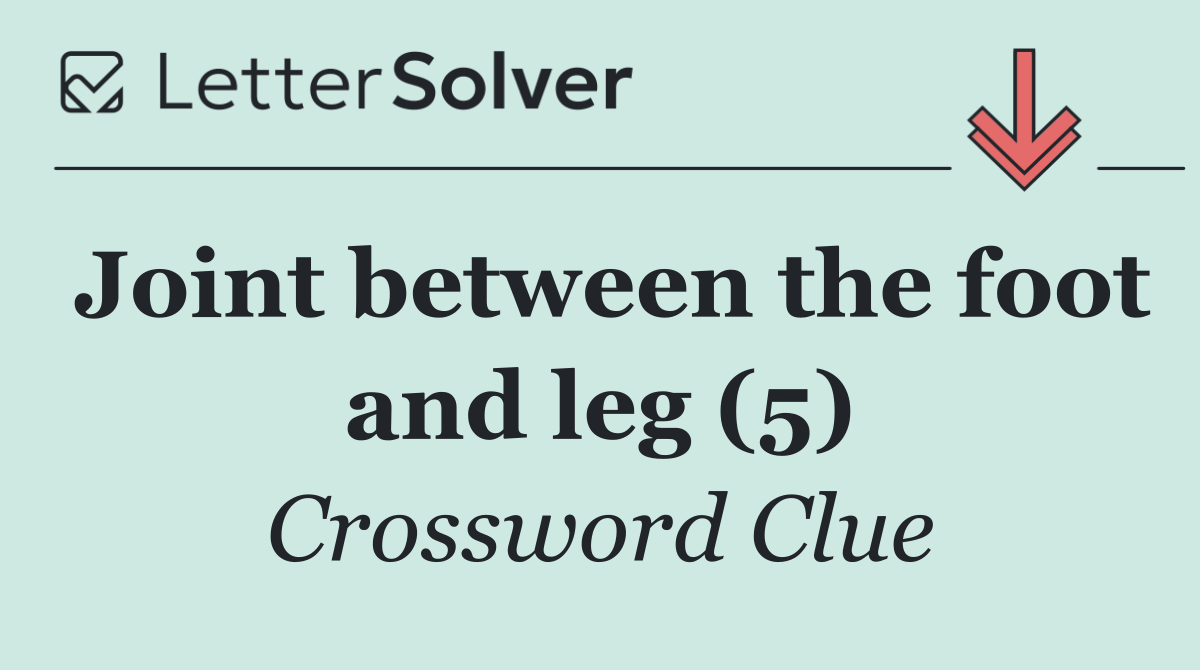 Joint between the foot and leg (5)