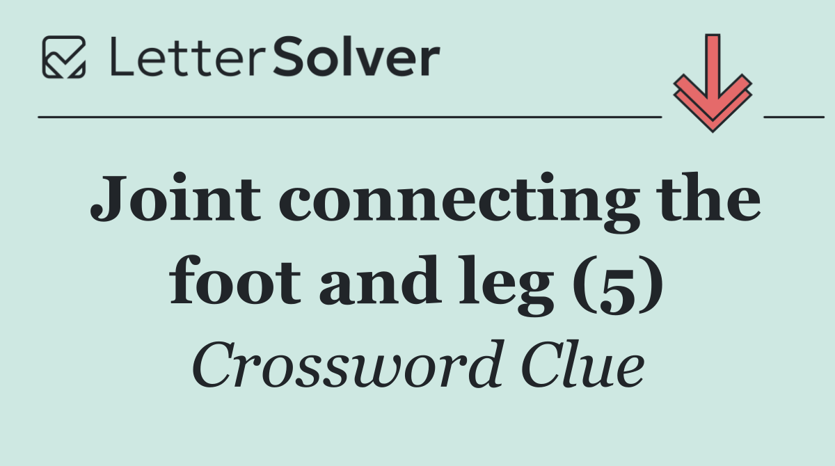 Joint connecting the foot and leg (5)