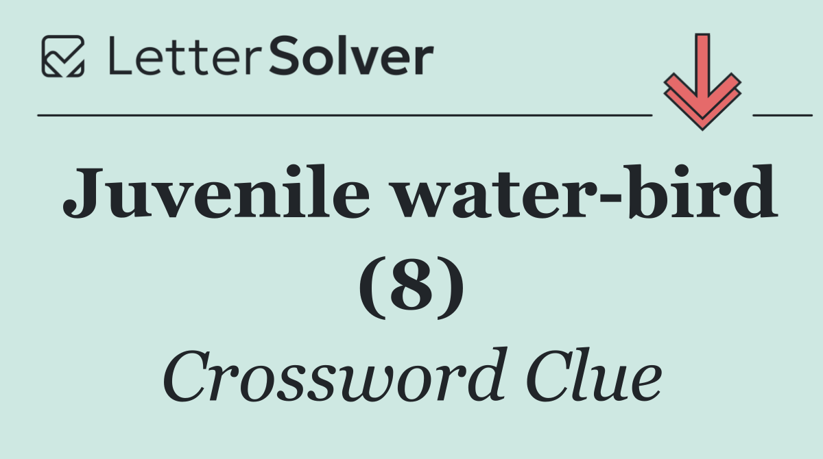 Juvenile water bird (8)