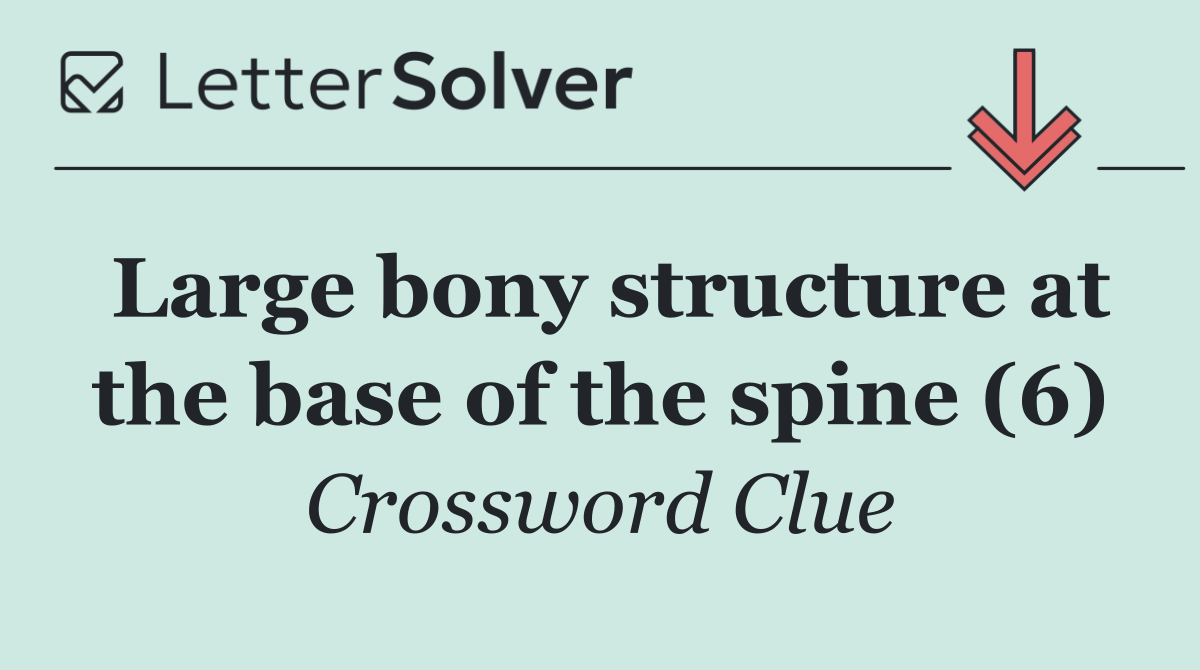 Large bony structure at the base of the spine (6)