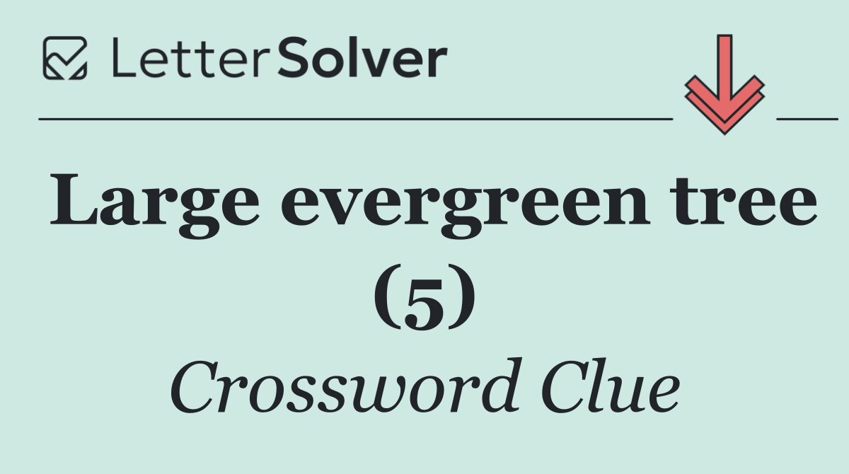 Large evergreen tree (5)