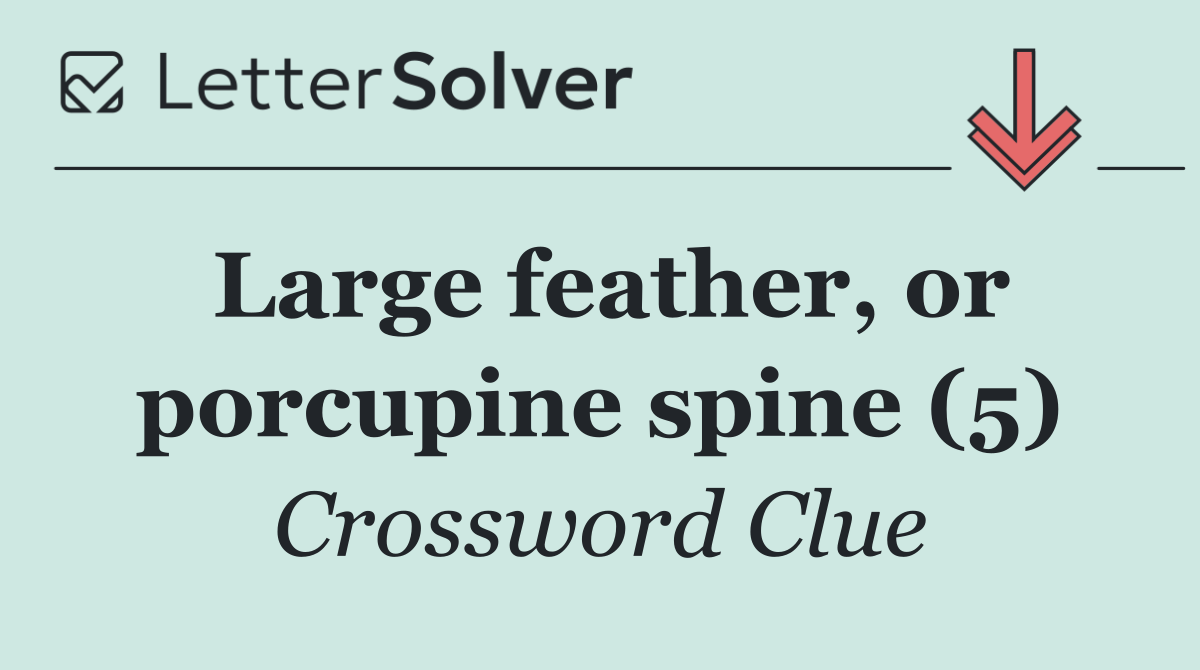Large feather, or porcupine spine (5)