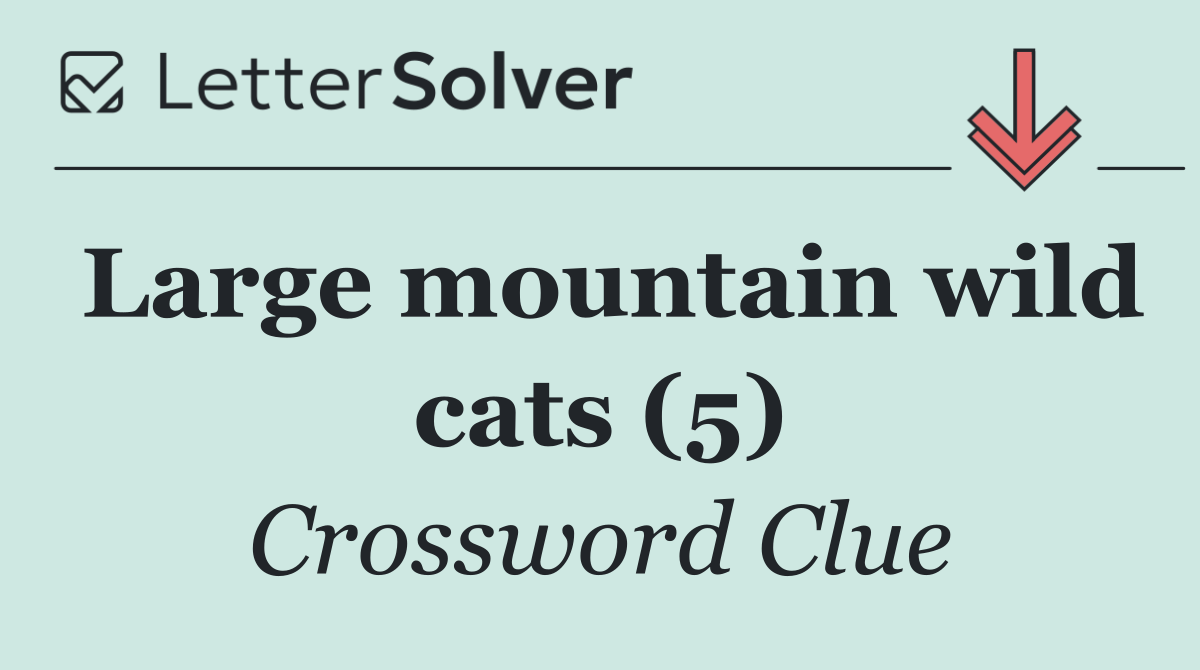 Large mountain wild cats (5)