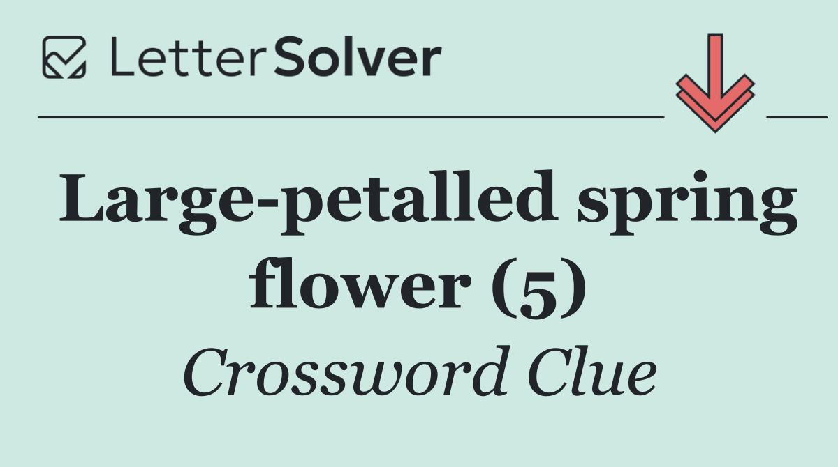 Large petalled spring flower (5)