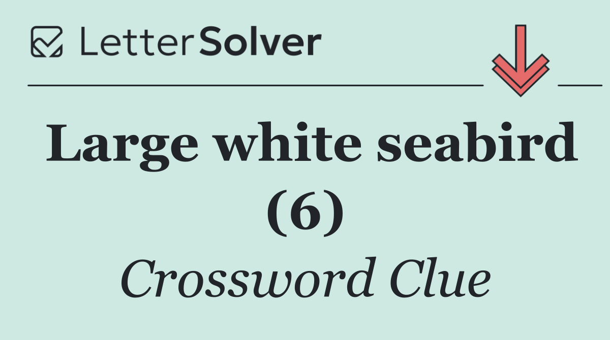 Large white seabird (6)
