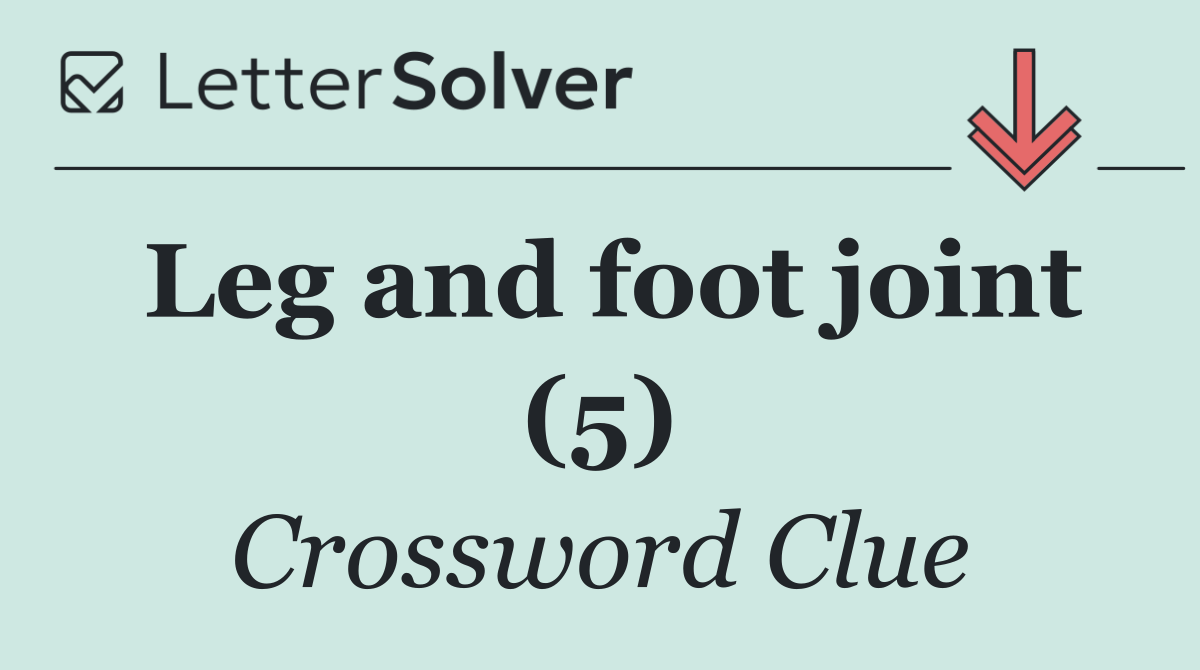 Leg and foot joint (5)