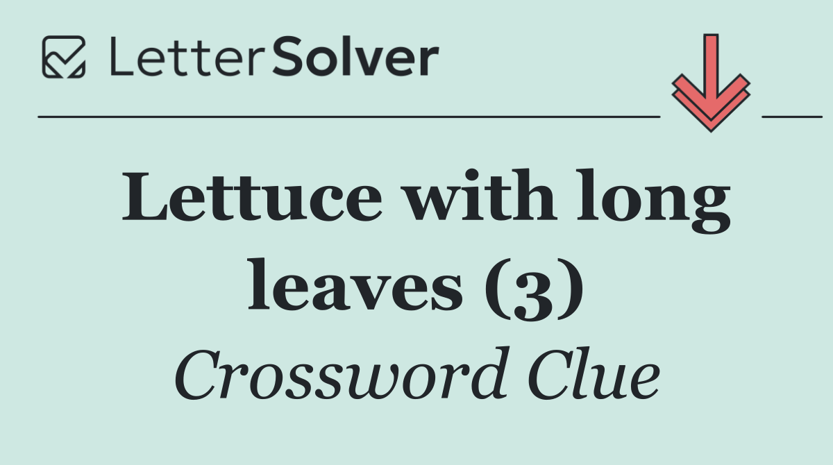 Lettuce with long leaves (3)